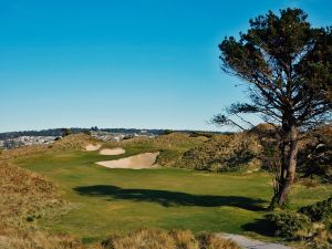 Barnbougle (Dunes) 4th Tree